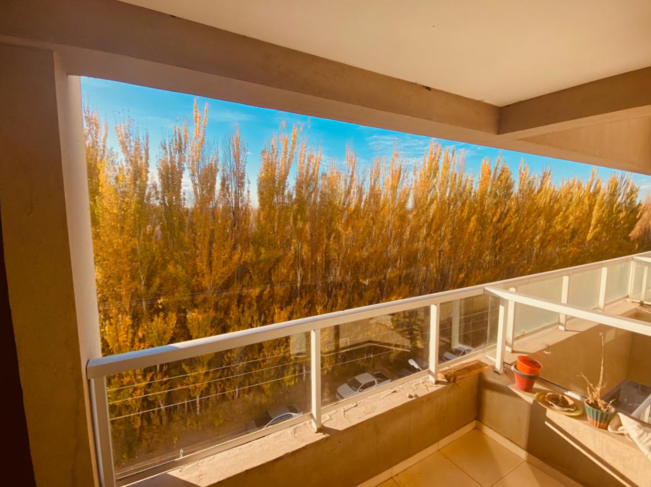 VENTA | DPTO 1 HAB C/COCHERA EN OBRERO ARGENTINO 295 | NEUQUEN
