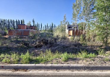 VENTA | TERRENO EN B° LOS ALAMOS | NEUQUEN