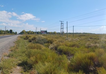 TERRENO APTO INDUSTRIA | VILLA MANZANO
