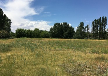 ALQUILER | LOTE EN AÑELO EXCELENTE UBICACION 